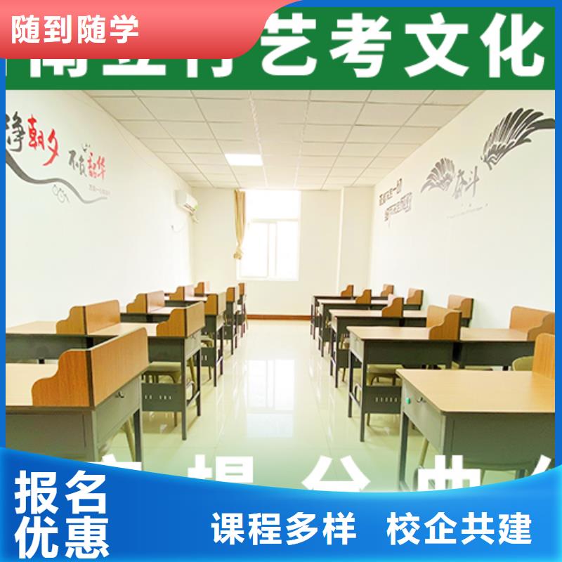 艺考文化课机构舞蹈艺考培训理论+实操