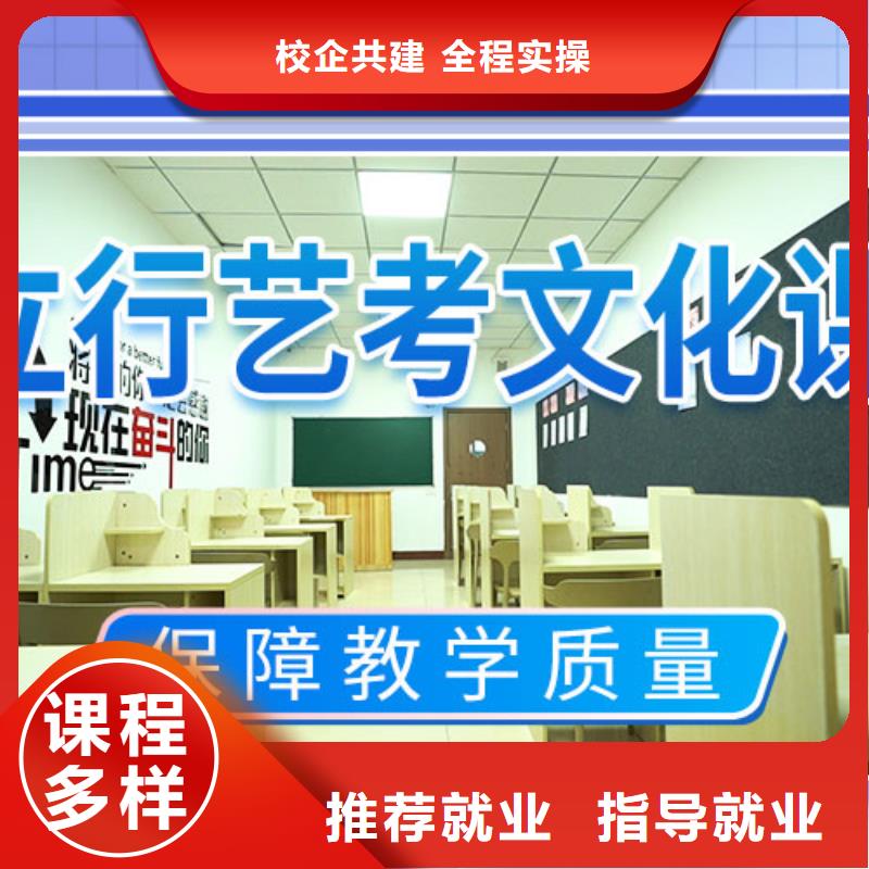 艺考文化课补习高考补习班理论+实操