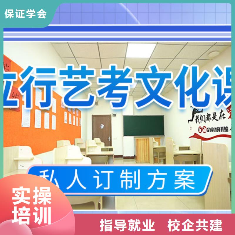 艺考文化课补习高三复读辅导实操培训