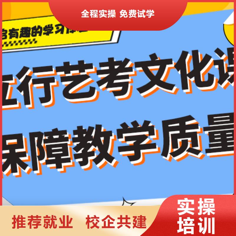 艺考生文化课辅导集训排名艺考生文化课专用教材