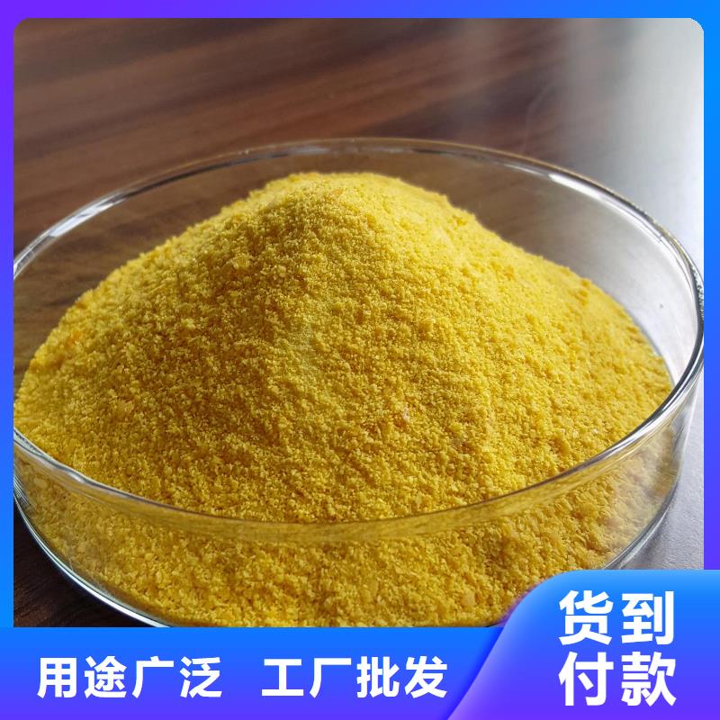 喷雾干燥聚合氯化铝来厂考察