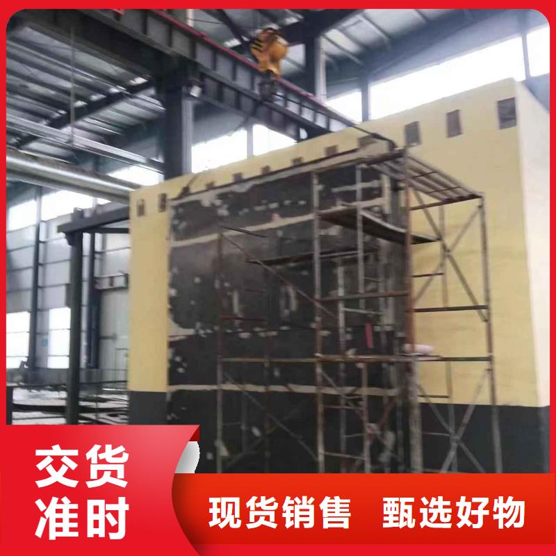 探伤室防护门真材实料加工定制