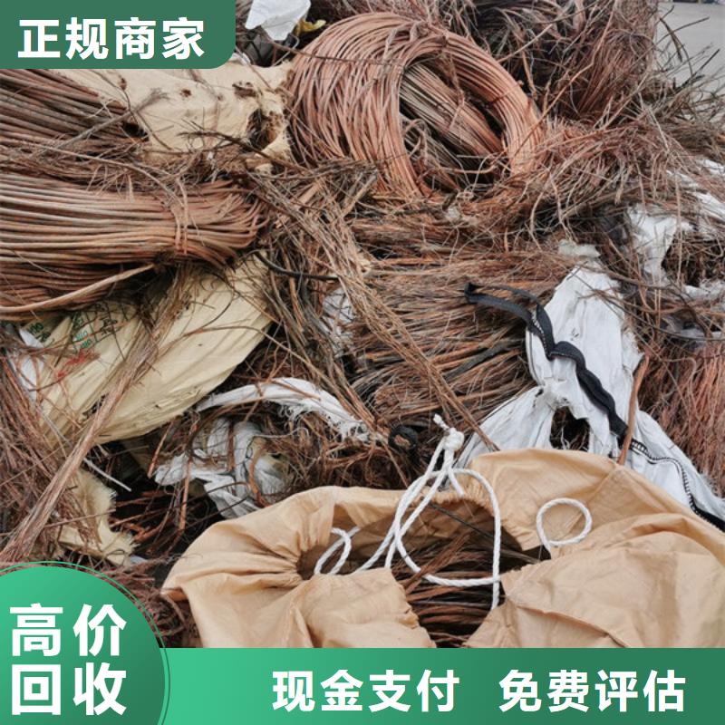 上门回收钨钢大量收购