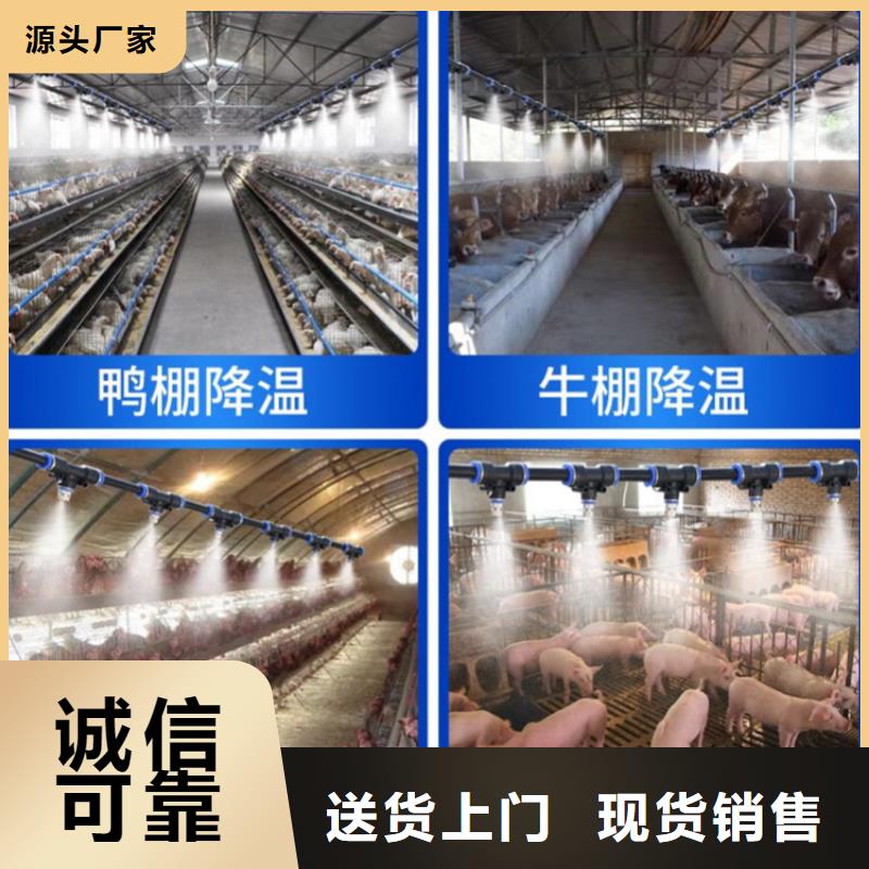 猪舍喷雾消毒降温系统厂家-生产销售一体