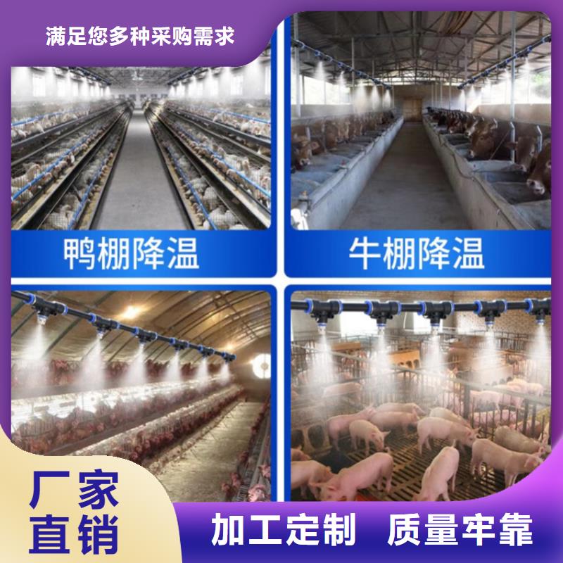 供应批发屠宰场喷淋消毒设备-热销