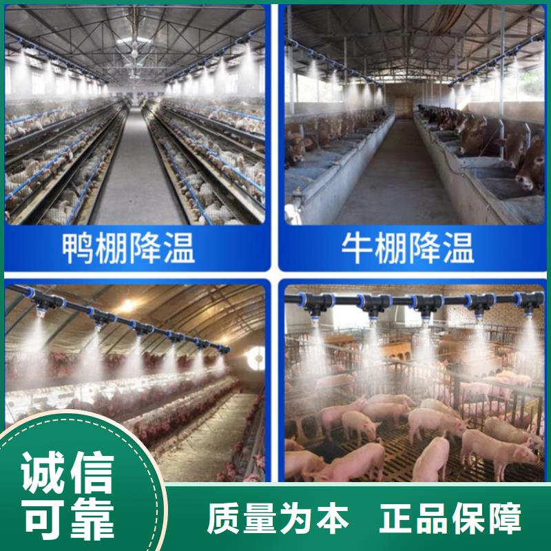 支持定制的车辆消毒喷淋批发商