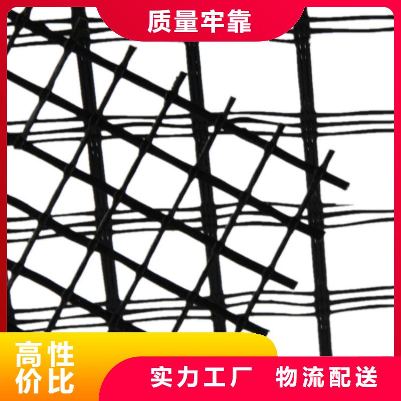 土工格栅单向土工格栅多年实力厂家