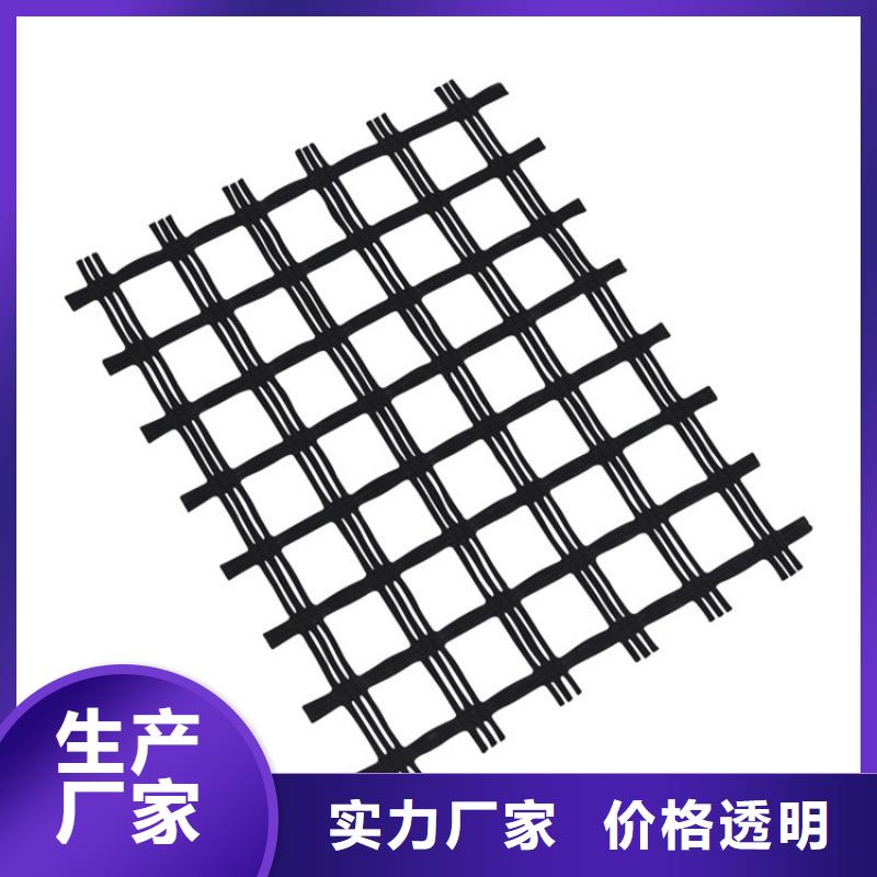 塑料土工格栅生产厂家