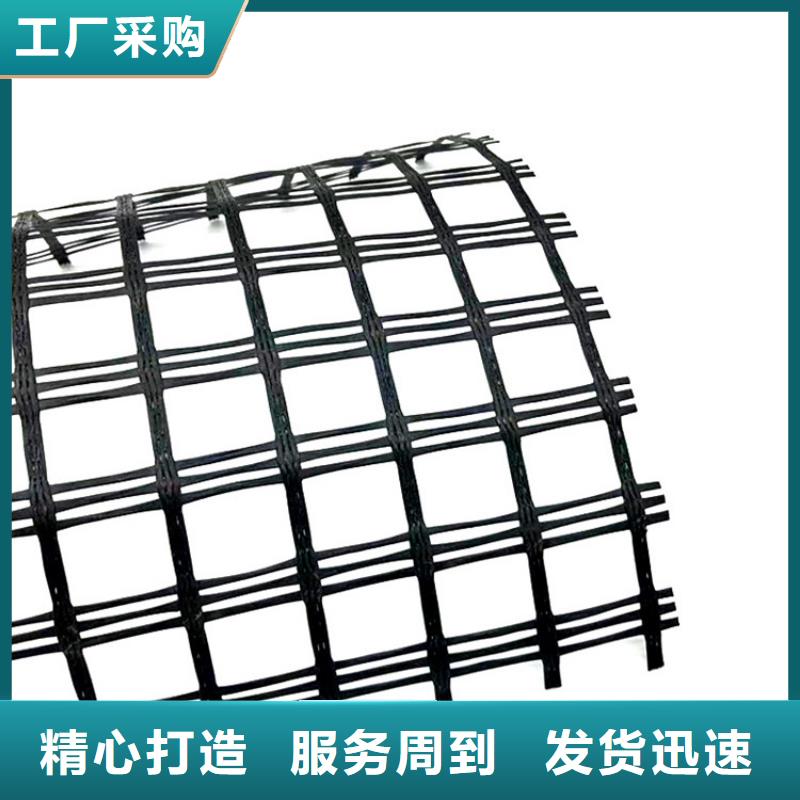 塑料土工格栅全国发货