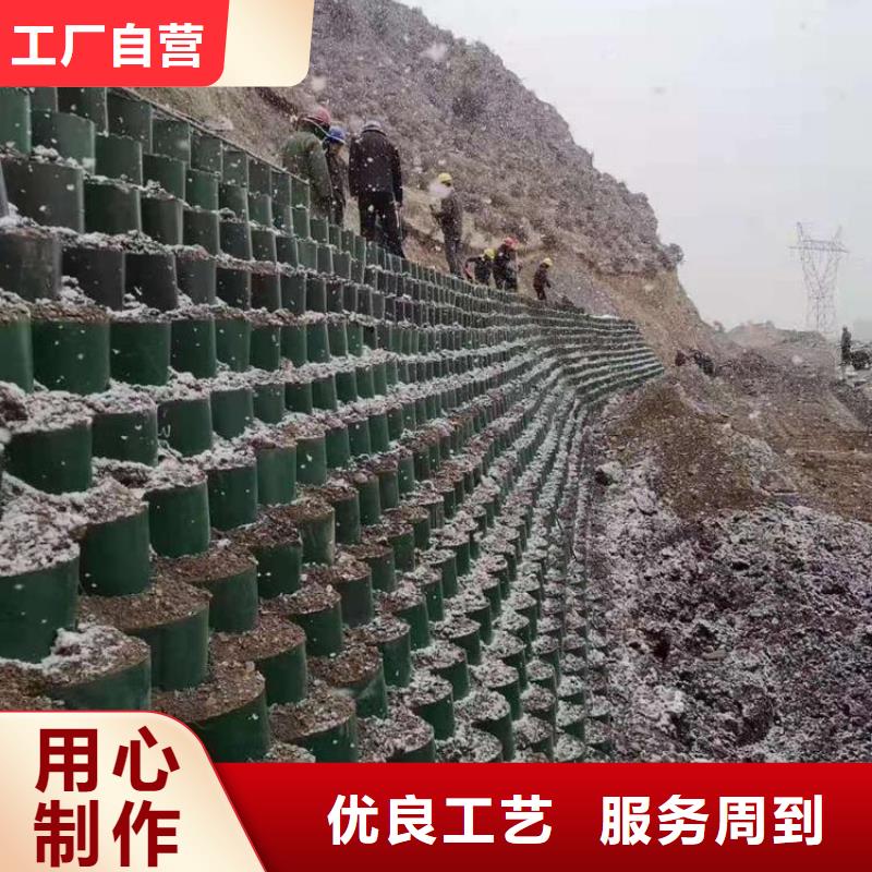 塑料土工格室可定制