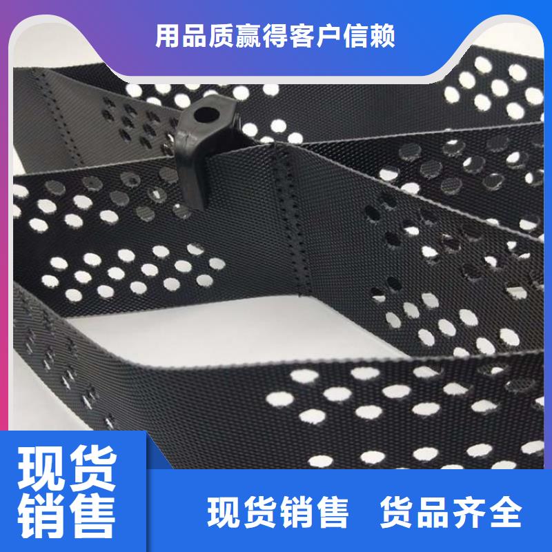 塑料土工格室可定制