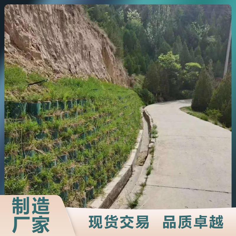 注塑土工格室生产厂家