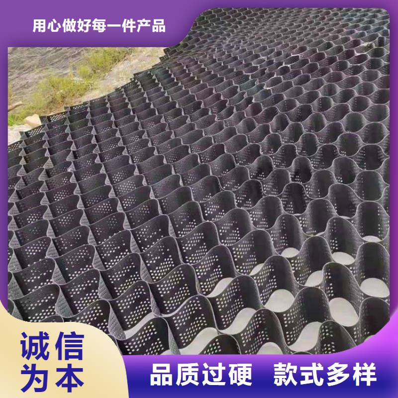 注塑土工格室生产厂家