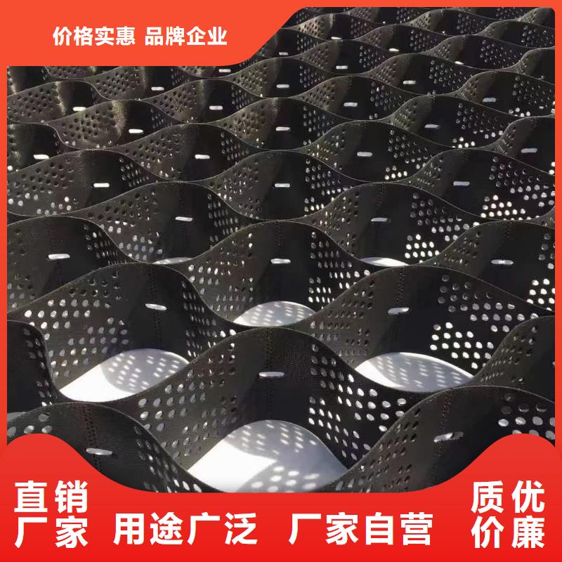 土工格室_HDPE土工格室厂家货源