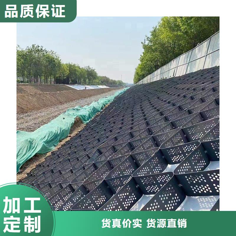 蜂巢土工格室量大价优