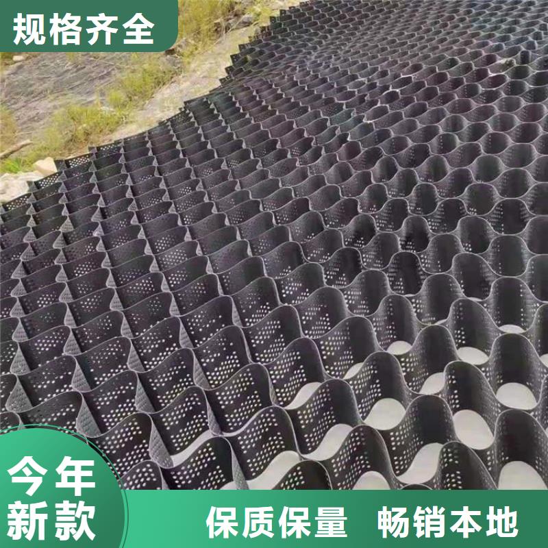 土工格室_HDPE土工格室厂家货源