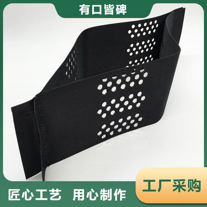 护坡土工格室国标质保