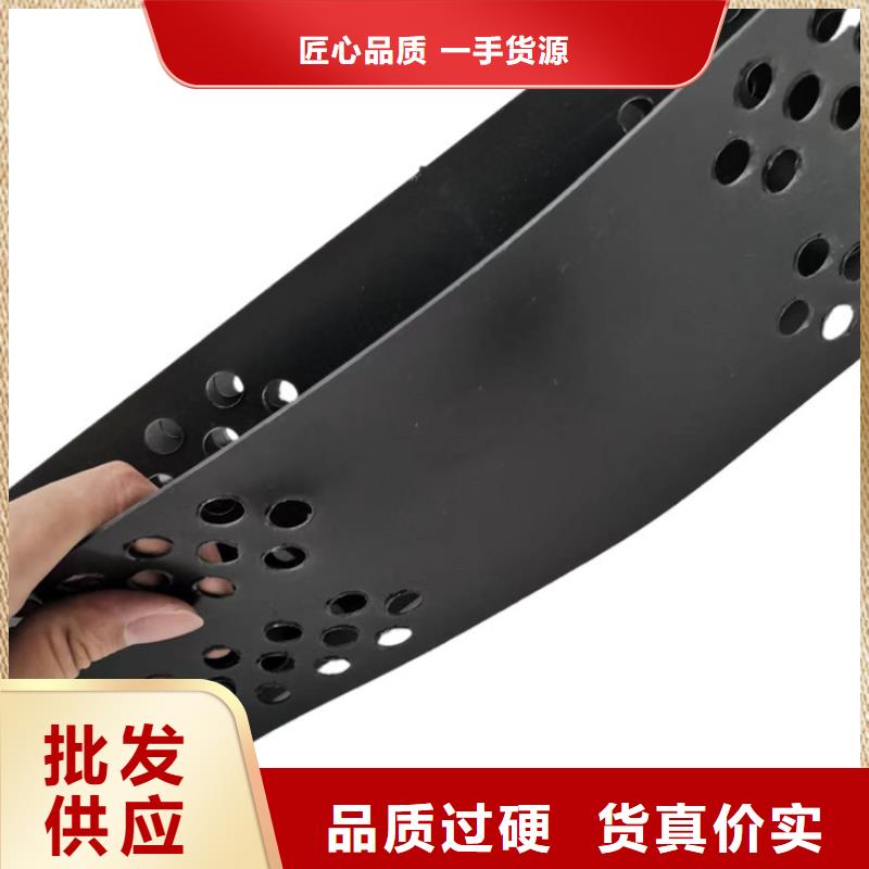 土工格室_HDPE土工格室厂家货源