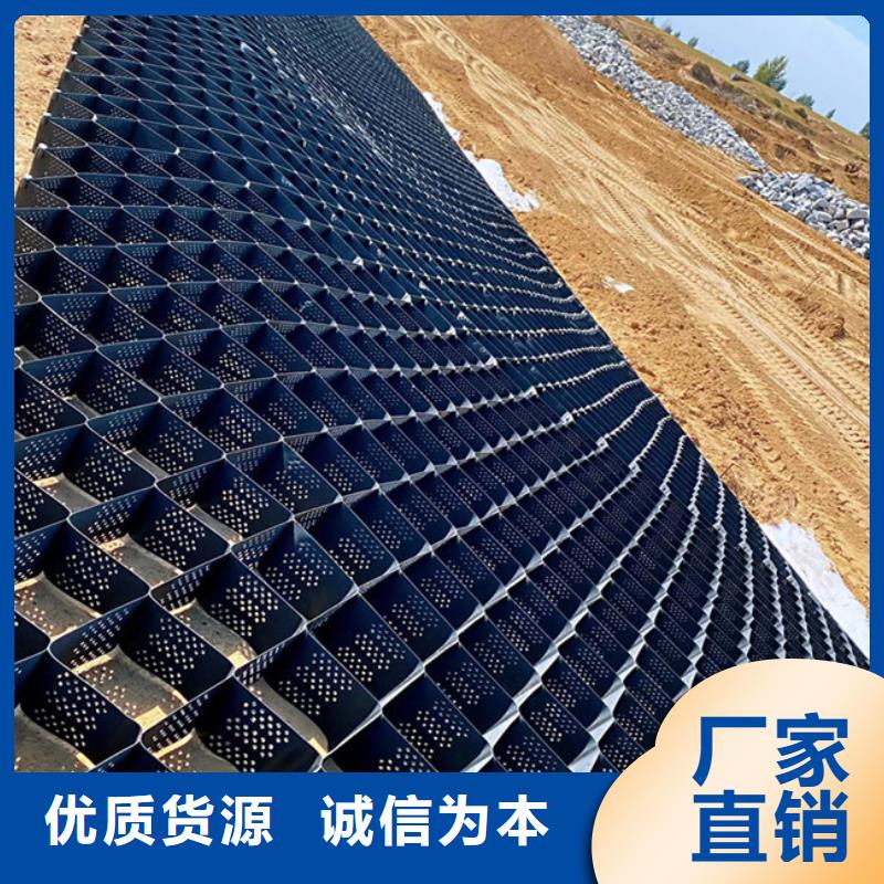 土工格室_HDPE土工格室厂家货源