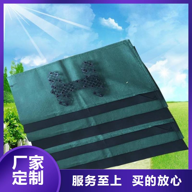 护坡生态袋工厂直销