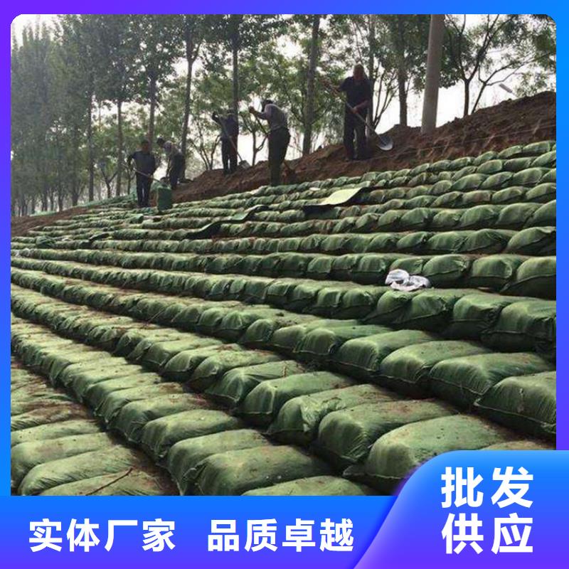 草籽植生袋生产基地
