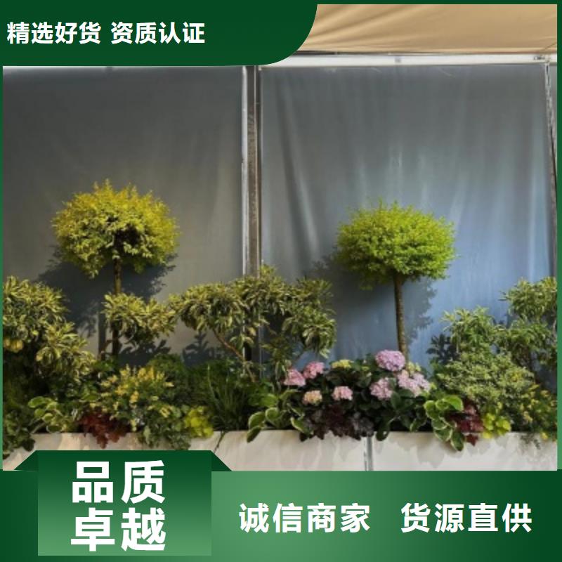 组合花箱为您服务