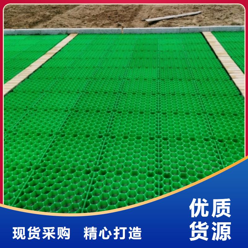 植草格树篦子今年新款