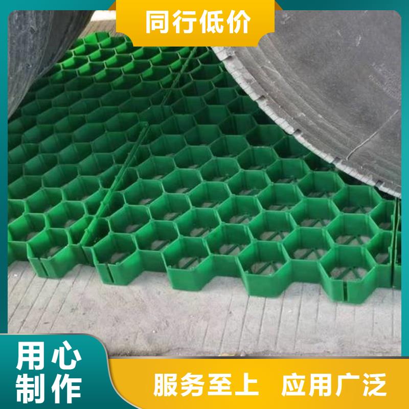 植草格树篦子款式新颖