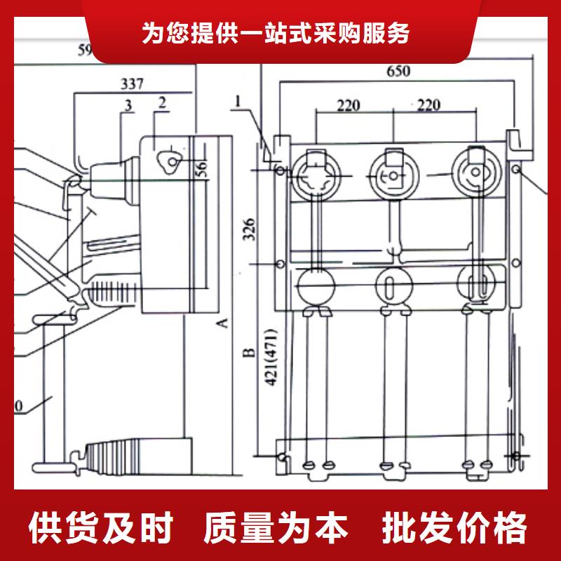 FZN16-12R/125高压负荷开关