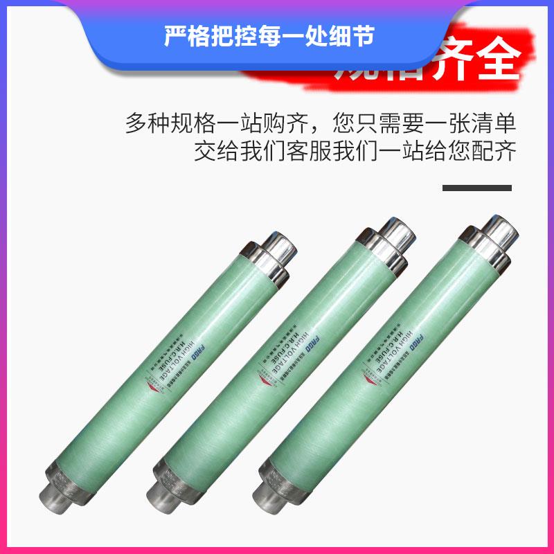 BR2-10/5A双管限流熔断器