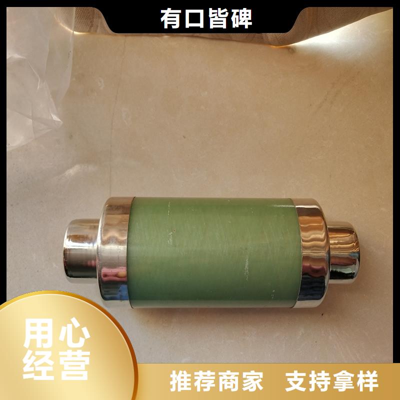 BRN-50/A双管限流熔断器保亭县