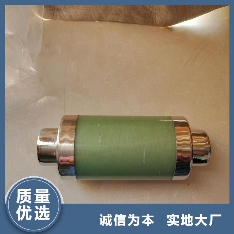 BR2-10/50A双管限流熔断器