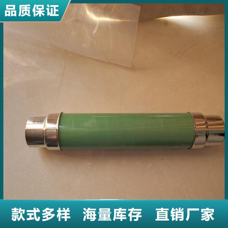 BR1-10/100A双管限流熔断器