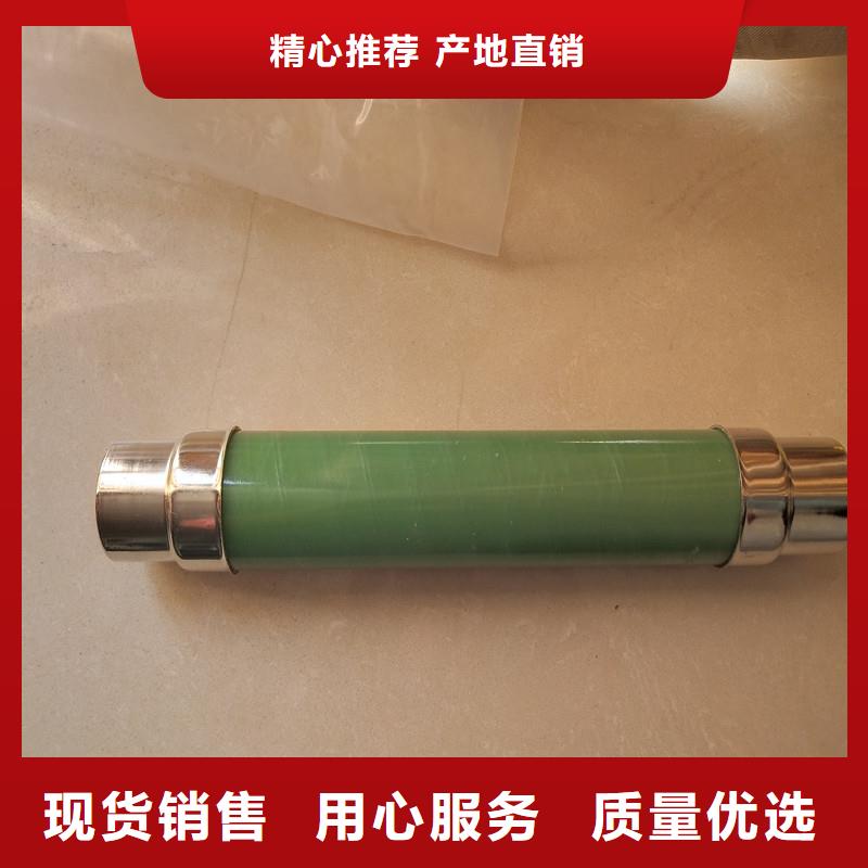 BR2-10/5A双管限流熔断器