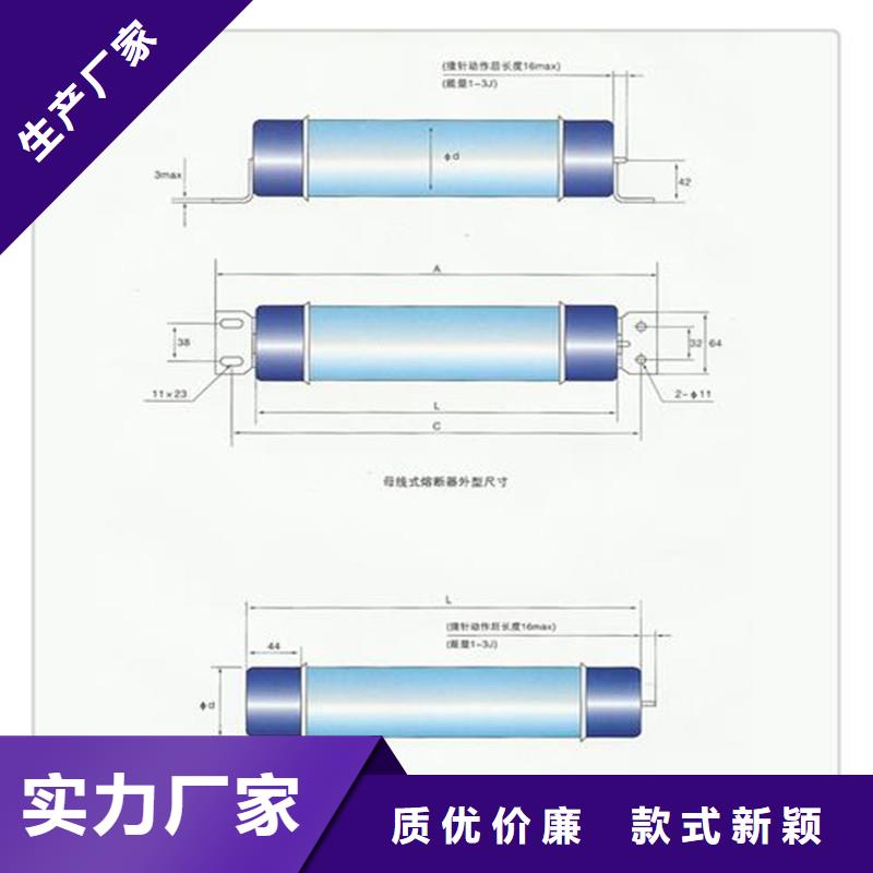 RNK-6/25A双管限流熔断器