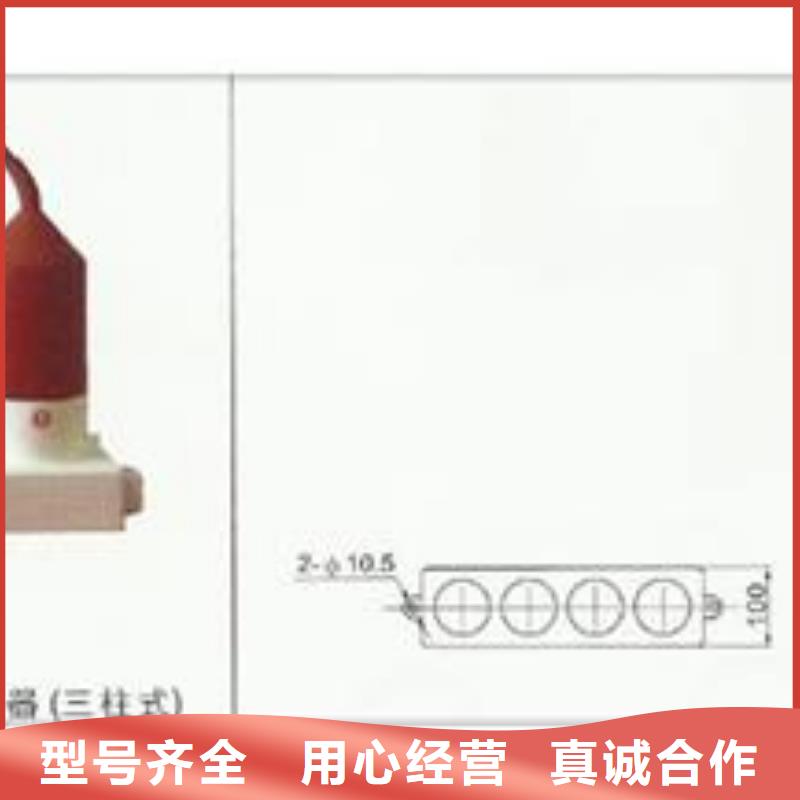 JSYF9-S避雷器放电计数器