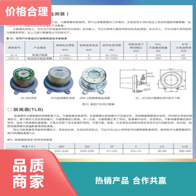 JS-85放电计数器