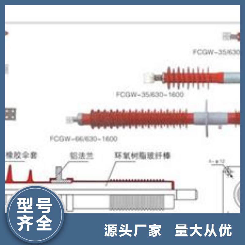 CWW-10/630高压套管怎么样