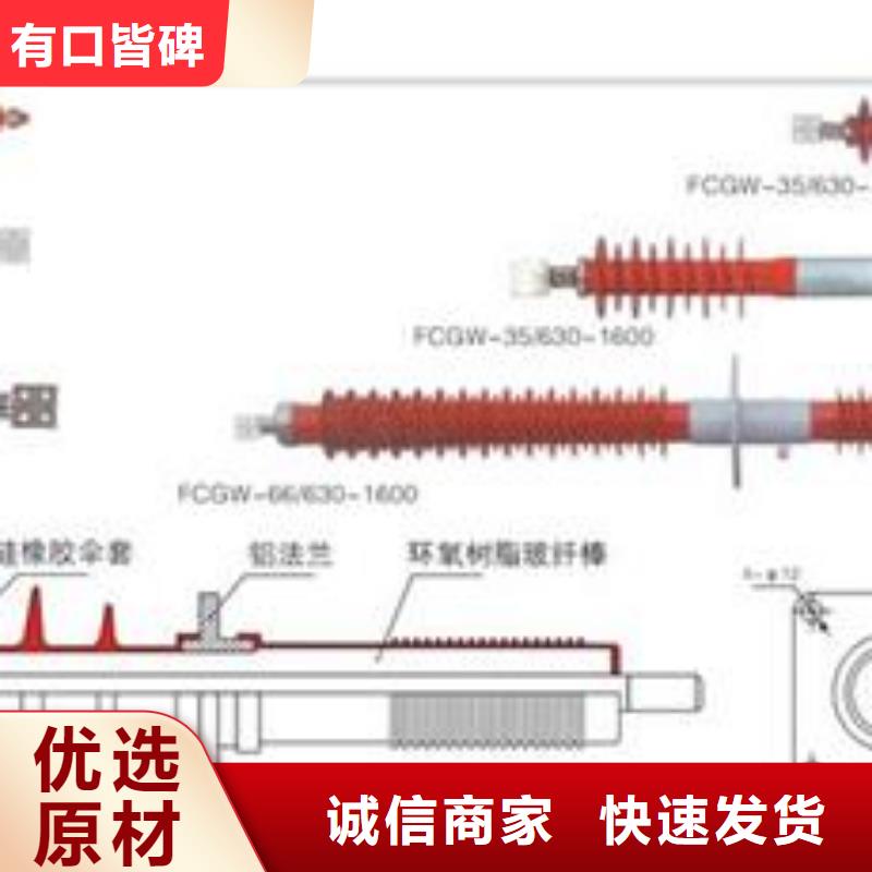 FCGW-12/2000A高压硅胶套管