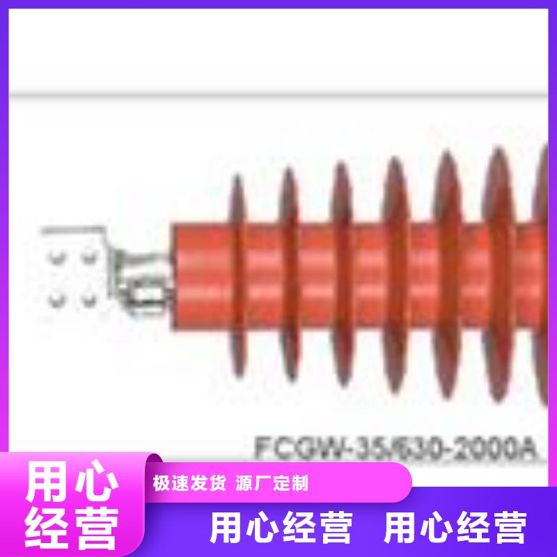 CWWL-40.5/2000A-4高压穿墙套管樊高