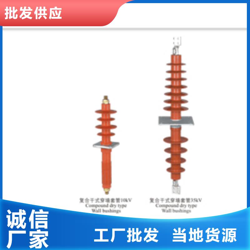 CWWC-10/3000A陶瓷穿墙套管樊高