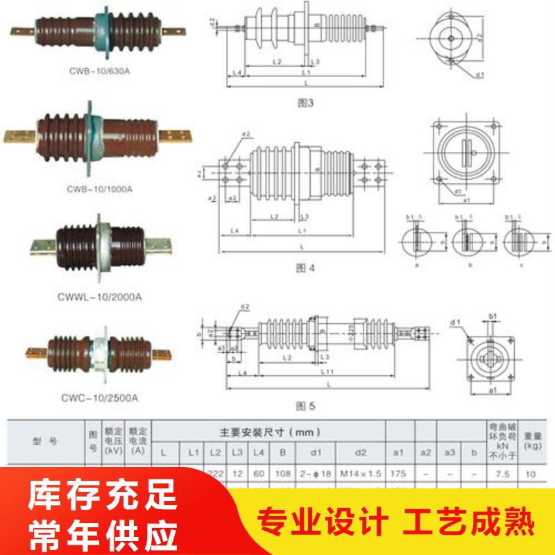 CWW-35/630A高压套管