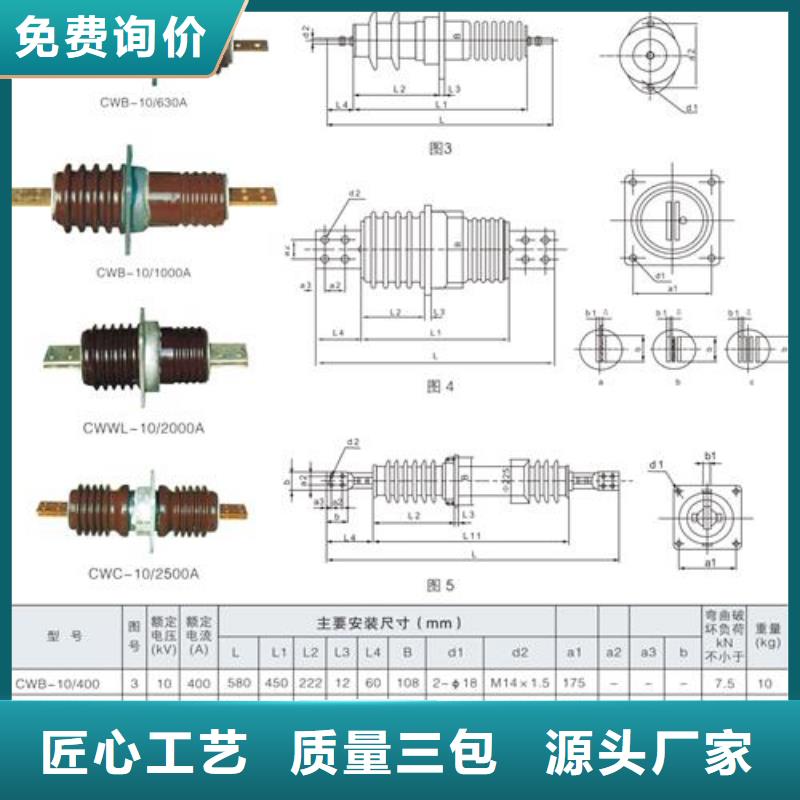 CWW-35/400A高压套管