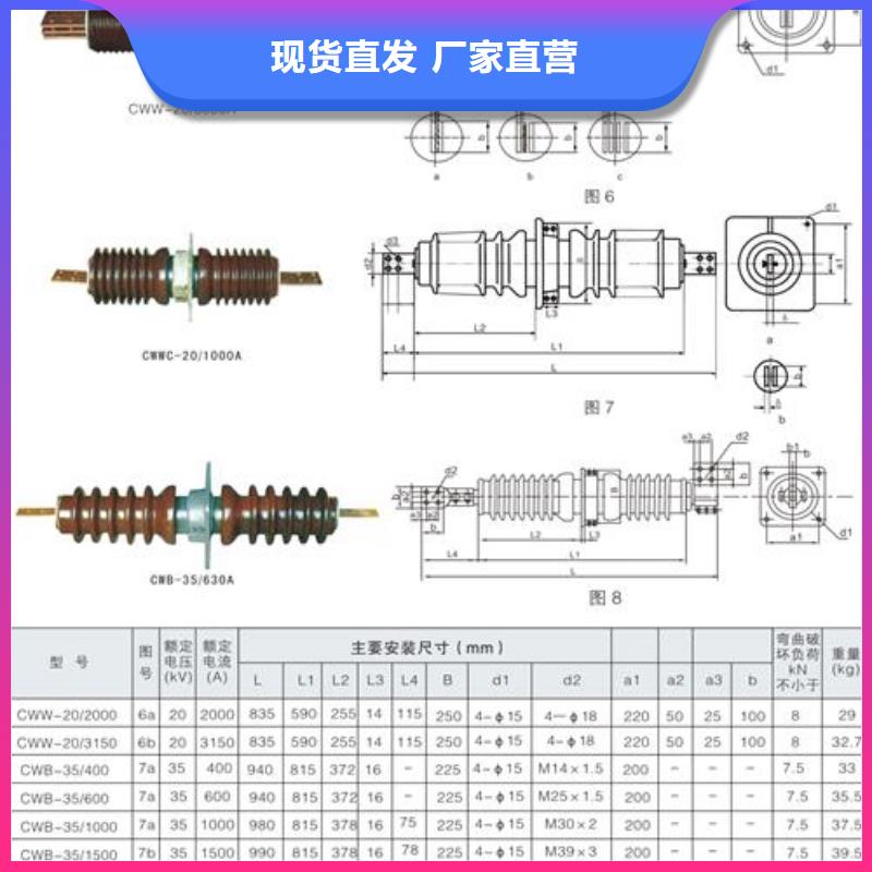 FCRG2-40.5/4000高压套管