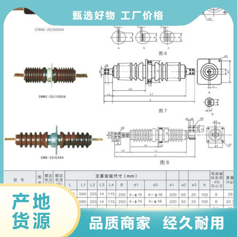 CWW40.5/400A高压套管