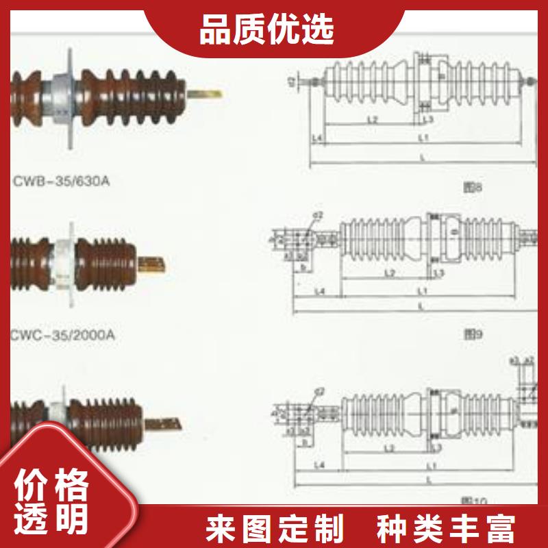 应城CWWC-40.5/1000A高压套管厂家