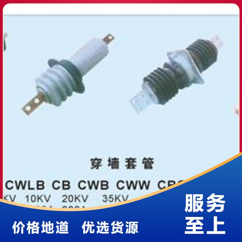 CWB-20/1000A高压套管