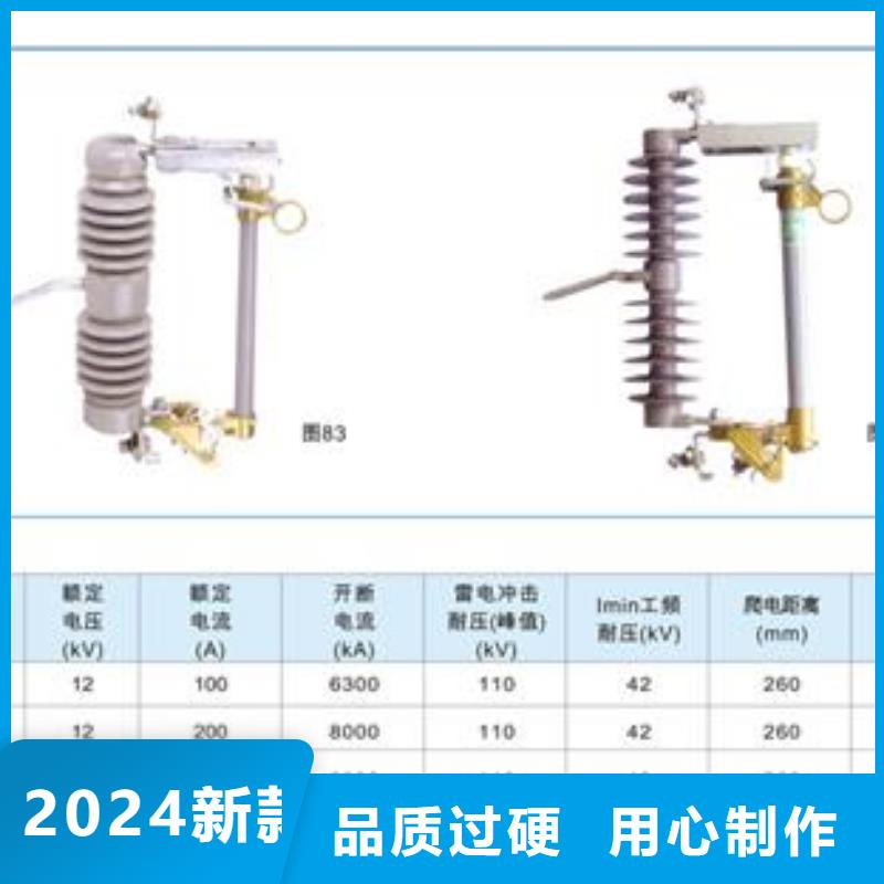 XRNP1-40.5/0.5A户内高压限流熔断器