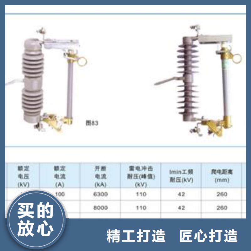 RNK-6/100A熔断器