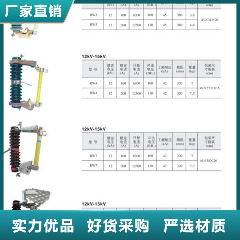 HRW7-10/100A高压熔断器